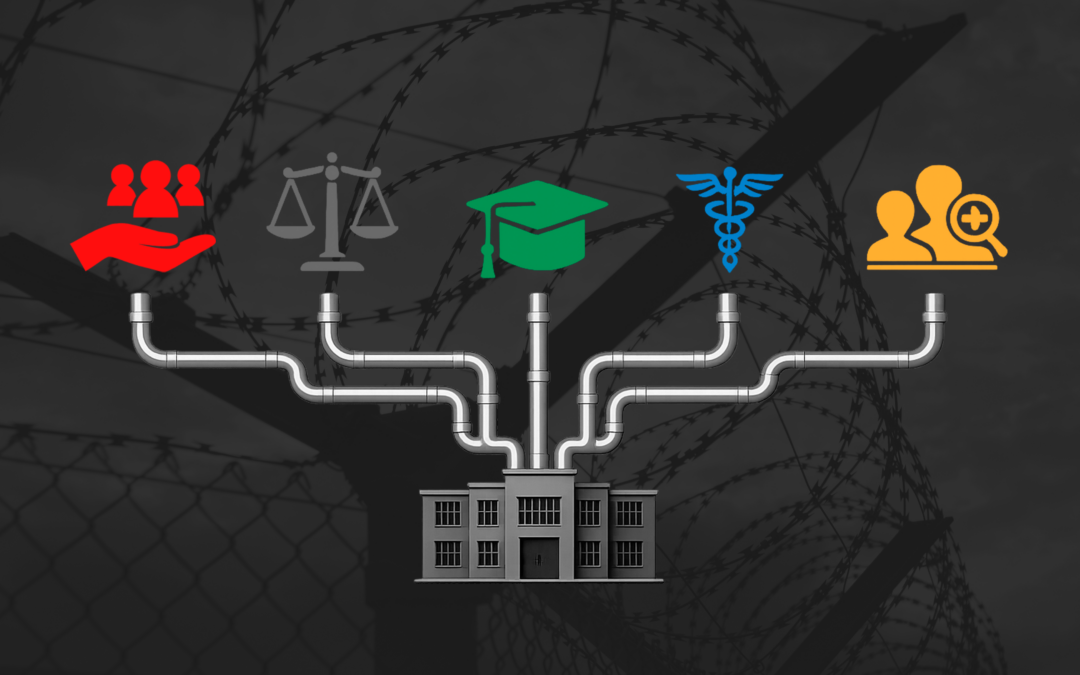 How Children Enter the TTI: Pipelines and Public Funds