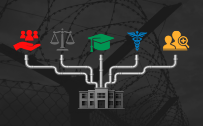 How Children Enter the TTI: Pipelines and Public Funds